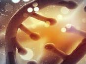 Casi humano, afirma estudio