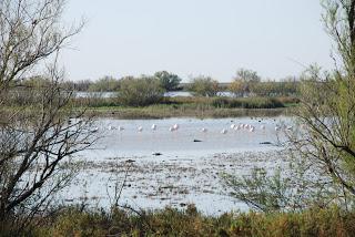 PARQUE NACIONAL DE DOÑANA