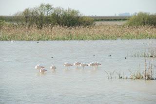 PARQUE NACIONAL DE DOÑANA