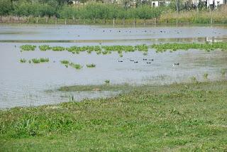 PARQUE NACIONAL DE DOÑANA