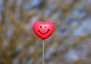 Canta, ríe, baila, llora, ¡vive!... (Reseña)