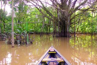 LOS PASOS PERDIDOS (1953), DE ALEJO CARPENTIER. EL CORAZÓN DE LA LUZ.