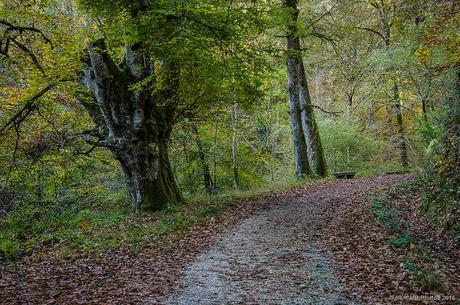 Un alto en el camino