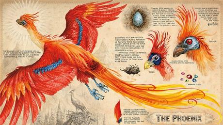 ¡Portada y fecha de publicación de Harry Potter y la cámara secreta ilustrado!