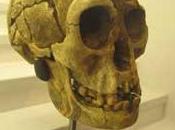 restos Homo floresiensis recientes