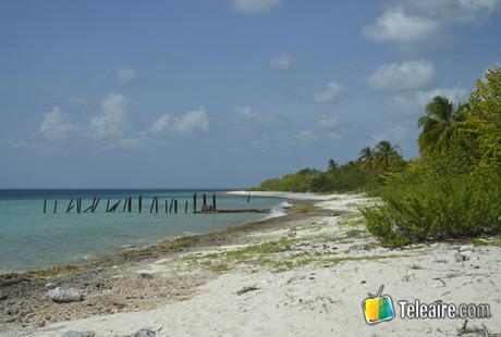 playa-maria-la-gorda-teleaire