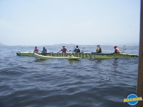 remar desafio V6