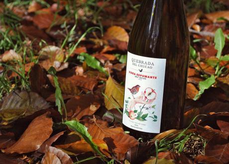 Una copa de sidra en la cena o comida puede ser muy benéfica para la salud