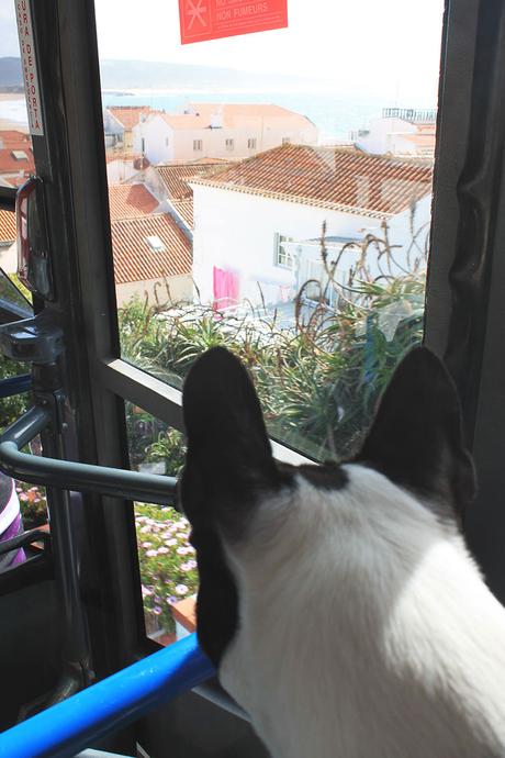 Vacaciones en el Algarve