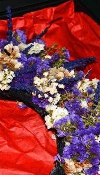 10658566_716649705089009_5629128549258658667_o