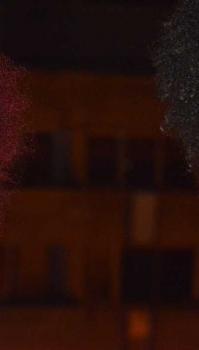 1507221_716650205088959_4673258091033186823_o