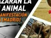 amordazarán compasión animal, manifestación