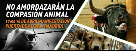 manifestacion antitaurina madrid