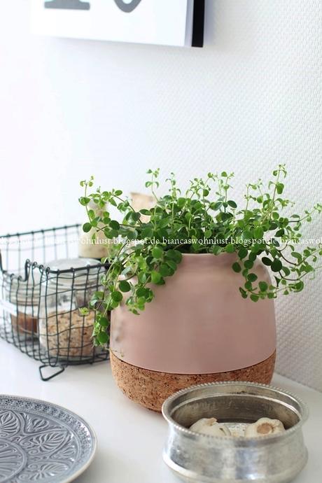 MEZCLA estilos en TU COCINA y conviértela en la REINA DE LA CASA