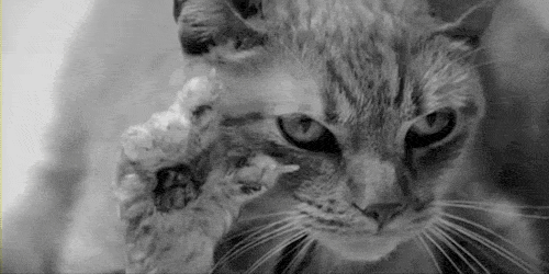 Entrevista a Leonel Alvarez Escobar