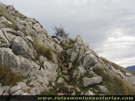 Sendero rocoso al Benzúa