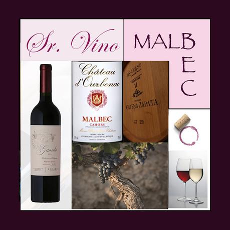 SERIES - Sr. Vino - Malbec