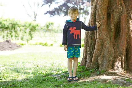 Moda infantil Hatley primavera verano 2016