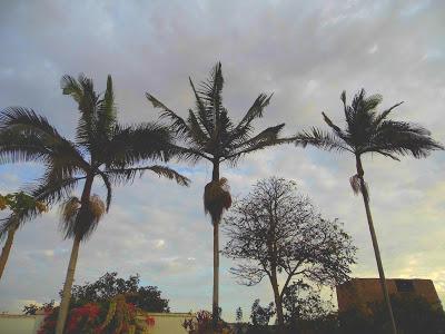MI PRIMER PRESS TOUR: BARRANCA, LA JOYA DE NORTE CHICO