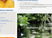 Nuevo Curso Meditación para principiantes Geshe Tenzin Wangyal Rinpoche