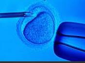 Fabrican Bioprotesis Ovario Restaura Fertilidad