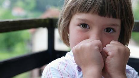 Muerde, pega, protesta… ¿qué hago?