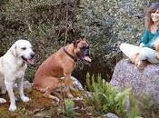 guerrera LUZ, veces DRUIDA...