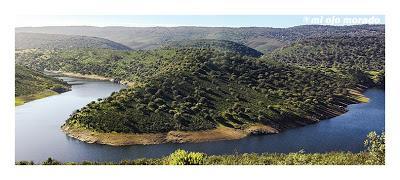 Monfragüe y la dehesa en primavera Monfragüe y la dehesa en primavera