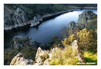 Monfragüe y la dehesa en primavera