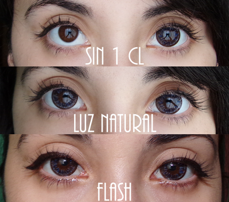 Review | Ellen Panda Blue [KLENSPOP]