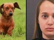 Detenida abusar sexualmente perro salchicha
