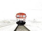 José Antonio Quesada Coves