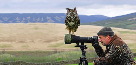 ¿Por qué la fotografía de naturaleza es especial?