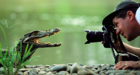 ¿Por qué la fotografía de naturaleza es especial?