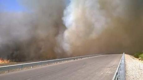 Ciudad Valles incendio