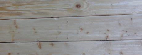 PROYECTOS DE PRIMAVERA...