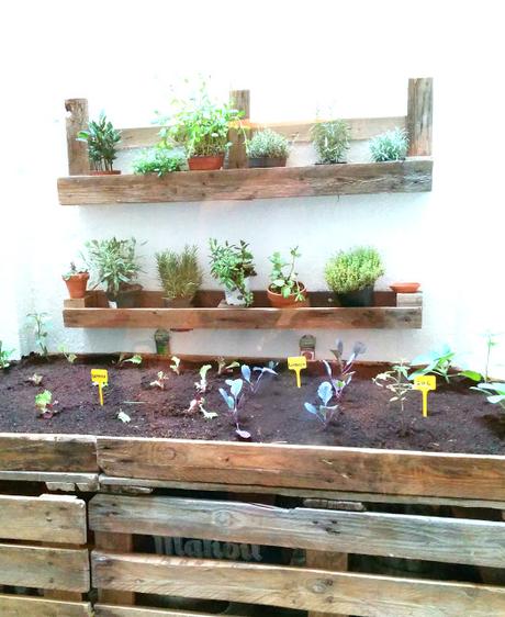 Taberna & Media [Tenemos chica nueva en el barrio]