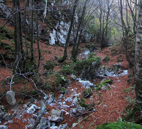 TROBANIELLO - SOBRE EL TAMBARON - VALLE LA FOIX