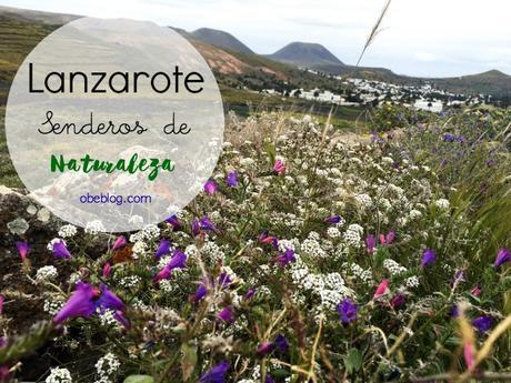 Lanzarote_Senderos_Naturaleza_Haría_ObeBlog_06