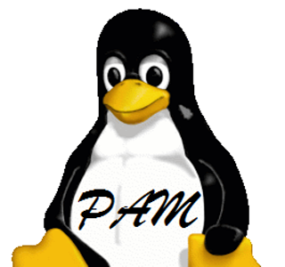 Linux PAM. Qué es y qué importancia tiene