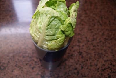 AGUACATES CON LANGOSTINOS