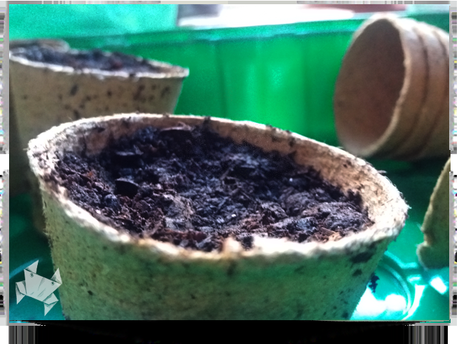 Más allá del jardín