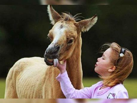SEMANA DE ACTOS PROVIDA EN ESPAÑA