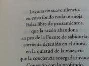 Laguna suave silencio