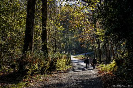 Aquellos paseos de otoño