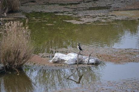 Algunas Fotografías de Badajoz