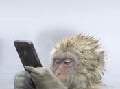 Soul Asylum: Change Fortune