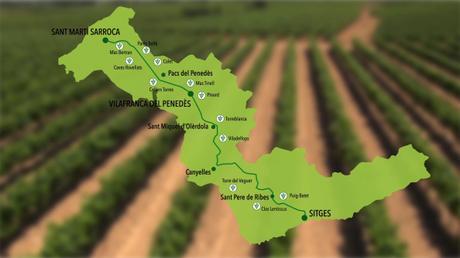 Foto Mapa La Carretera del Vino