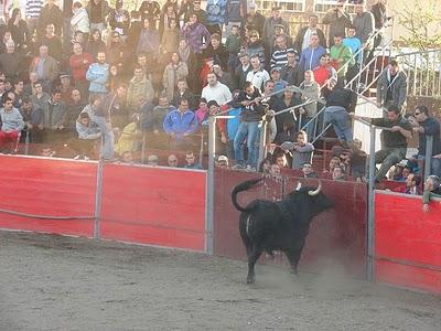 Encierro taurino Dólar 2010