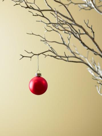Red Christmas ornament hanging from tree